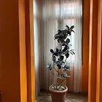 Taksim Pandora *
